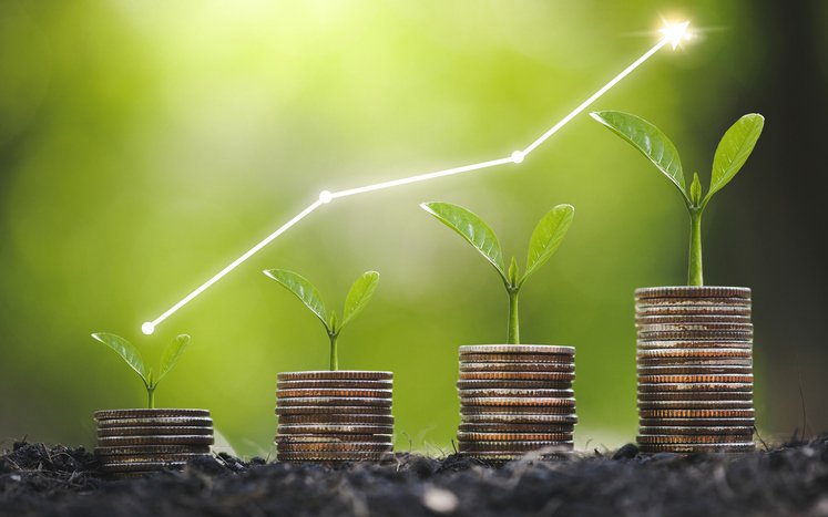 The Geometry of Investing: Structuring Decisions for Consistent Wealth Growth