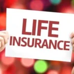Insurance and Risk Economics: How Protection Systems Stabilize Modern Financial Markets