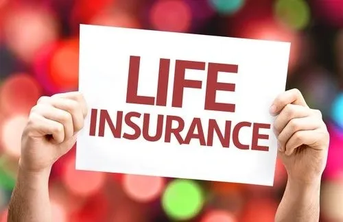 Insurance and Risk Economics: How Protection Systems Stabilize Modern Financial Markets